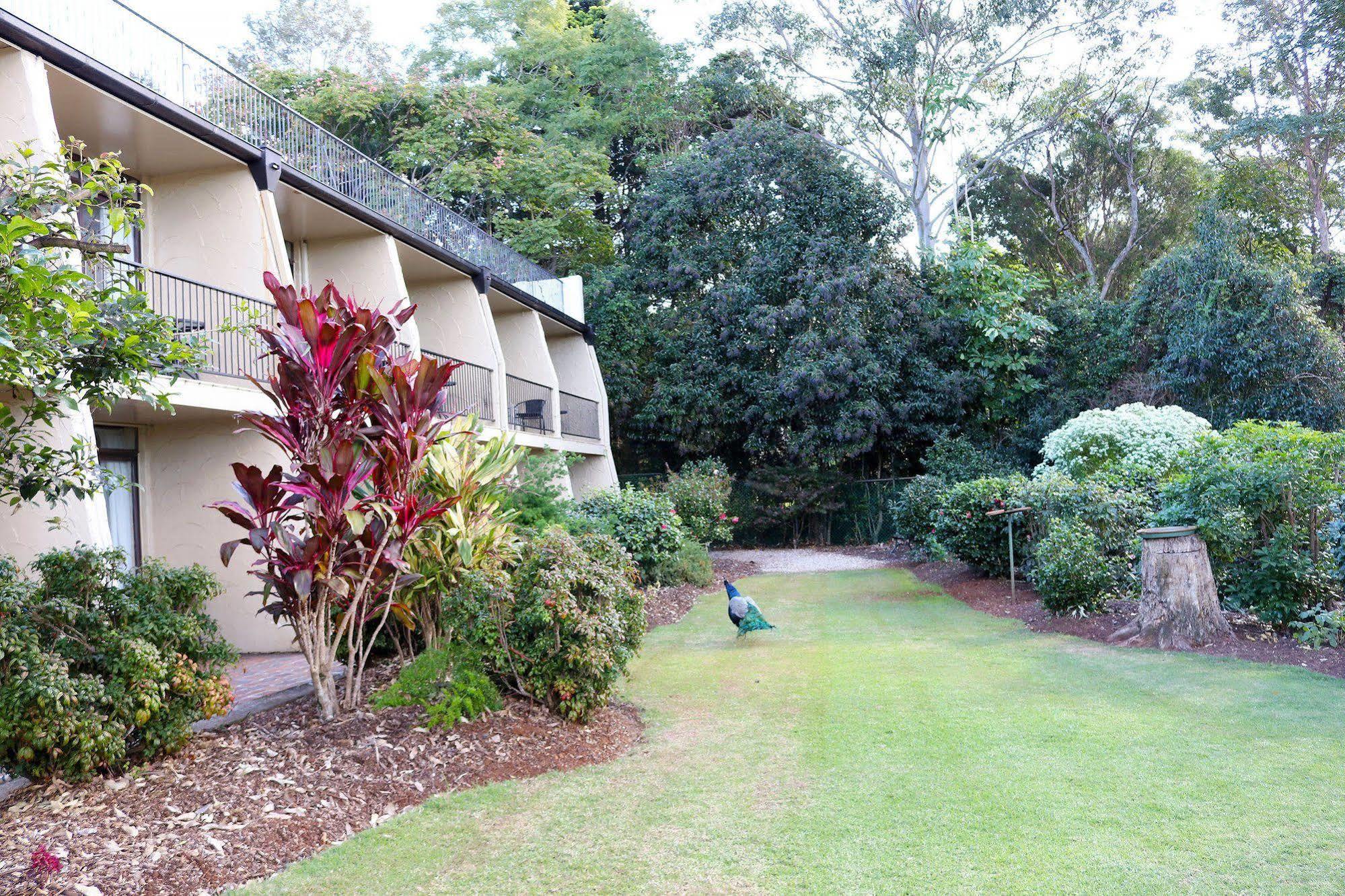 The Tamborine - Boutique Hotel Mount Tamborine Exterior foto